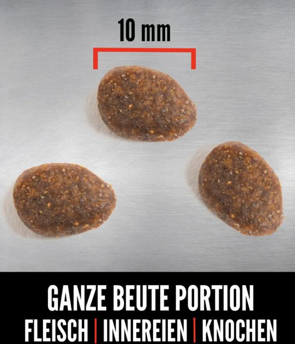 Orijen Trockenfutter Katze - ™ Trockenfutter für Katzen Tundra