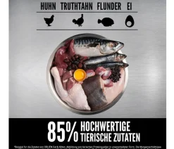 Orijen ™ Trockenfutter für Katzen Kitten Discount