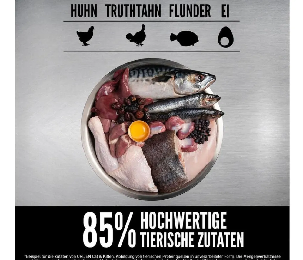 Orijen ™ Trockenfutter für Katzen Kitten Discount