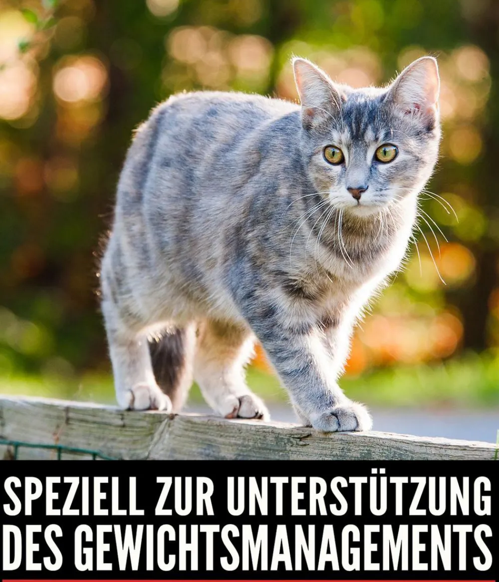 Orijen Trockenfutter Katze - ™ Trockenfutter für Katzen Fit & Trim
