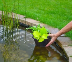 Outside Living Gartenteich·Teichzubehör & Teichpflege|Teichzubehör & Teichpflege - Kunststoff Wassserpflanzenkorb, Ø 21,5 cm Schwarz