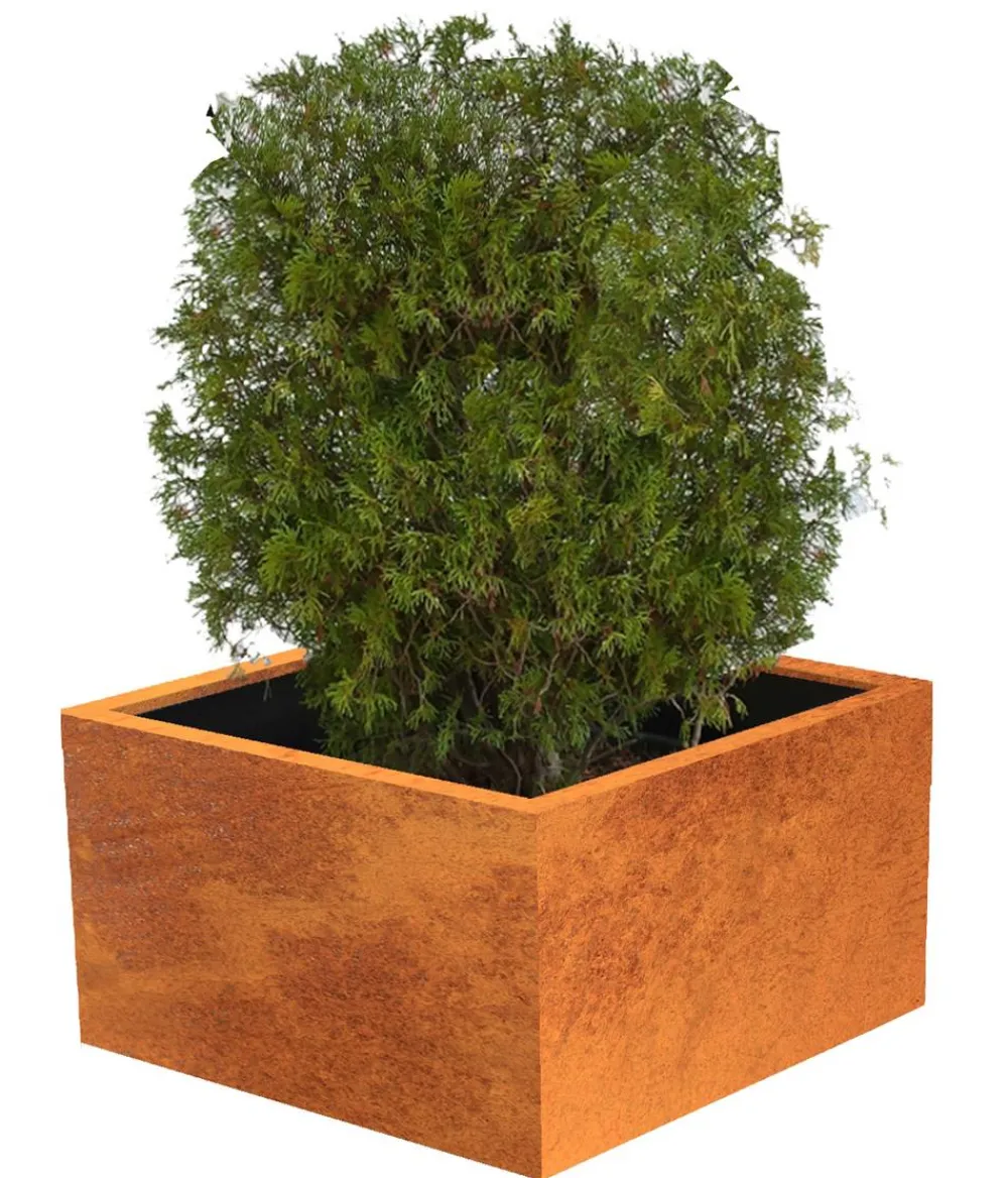 palatino Pflanzkübel & Blumenkästen|Blumentöpfe & Übertöpfe > Cortenstahl-Pflanzgefäß Clara, ca. B80/H50/T80 cm