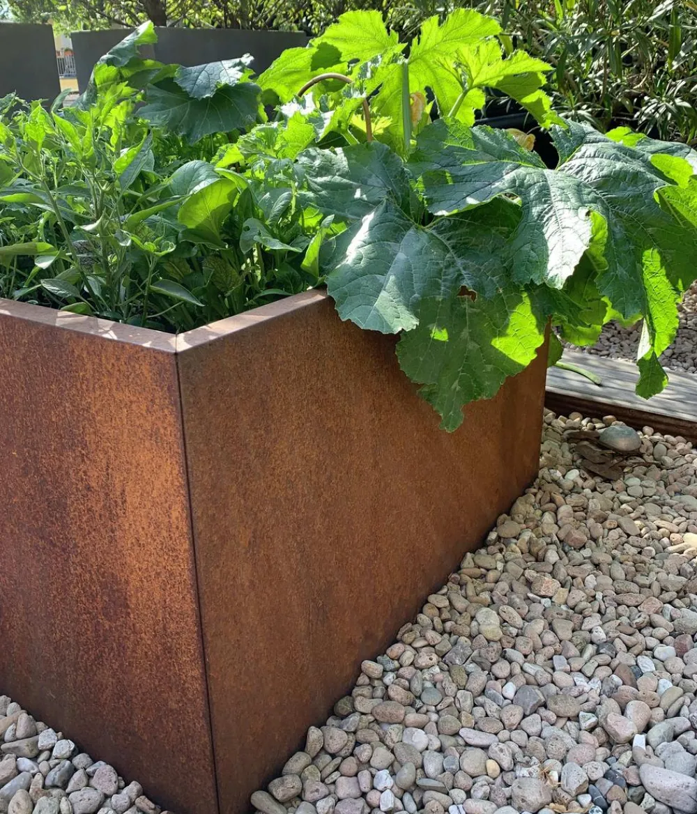 palatino Pflanzkübel & Blumenkästen|Blumentöpfe & Übertöpfe > Cortenstahl-Pflanzgefäß Clara, ca. B80/H50/T80 cm