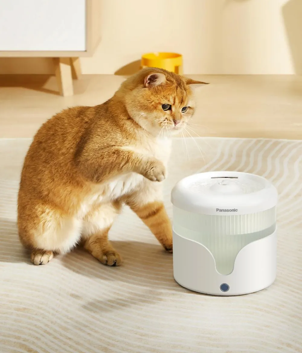 Panasonic Smart Pet Care Hundenäpfe & Tränken|Katzennäpfe & Tränken > Ersatzfilter für Trinkbrunnen, 3er-Set