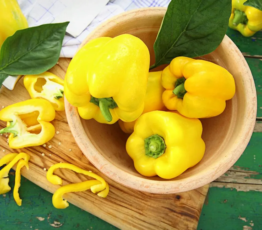 Dehner Peperoni- & Paprikapflanzen > Paprika,