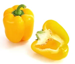 Dehner Peperoni- & Paprikapflanzen > Paprika,