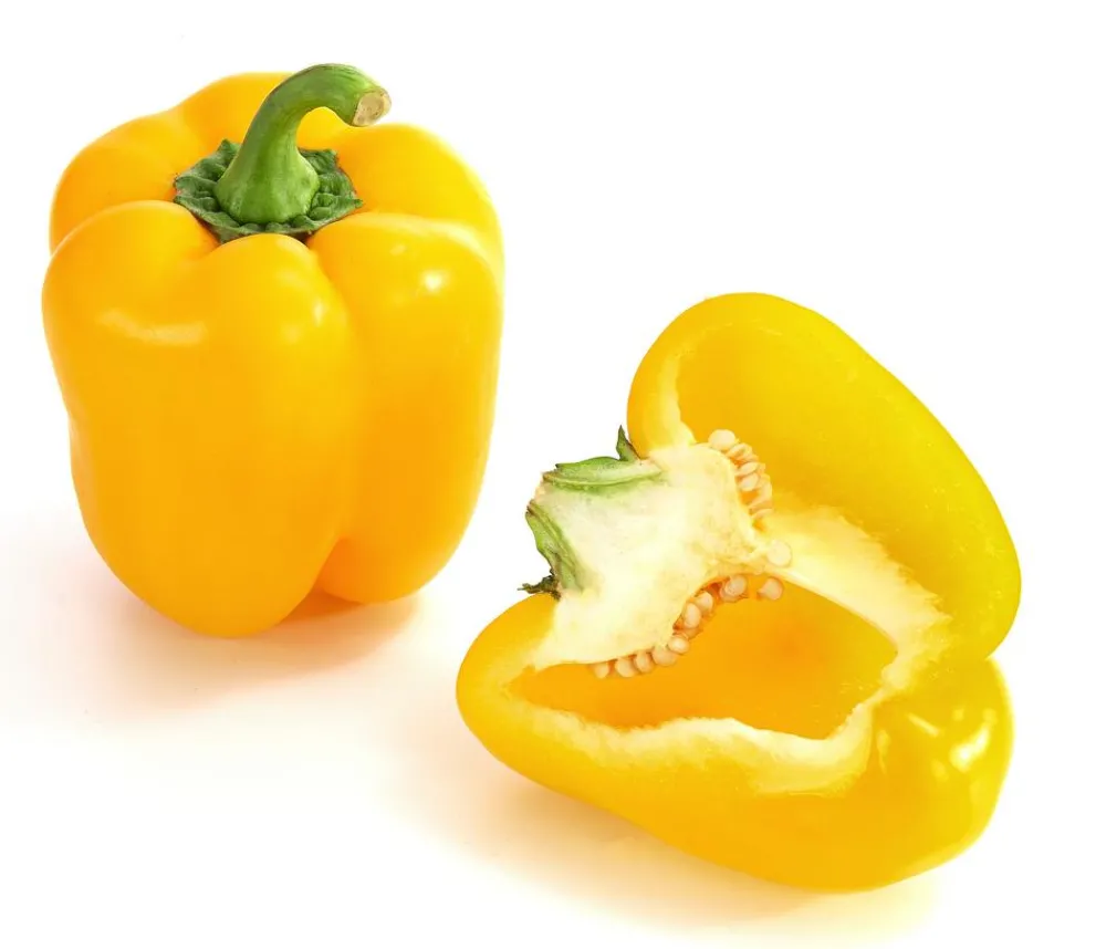 Dehner Peperoni- & Paprikapflanzen > Paprika,