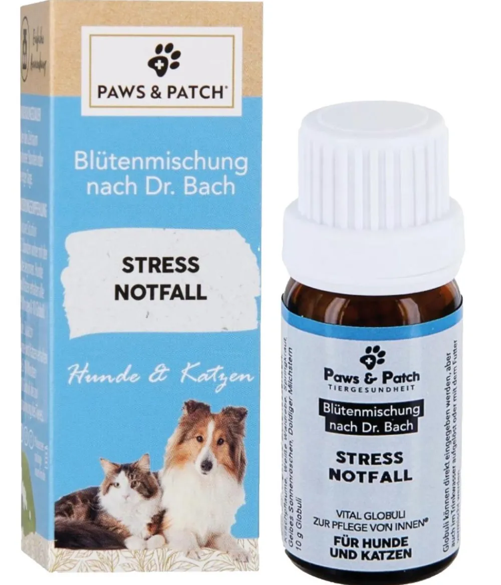 PAWS & PATCH Nahrungsergänzung Hund > Blütenmischung 3er Basis-Box Ängstliche & sensible Tiere, 3 x 10 g