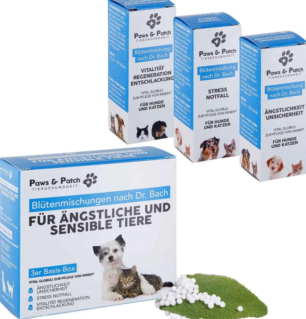 PAWS & PATCH Nahrungsergänzung Hund > Blütenmischung 3er Basis-Box Ängstliche & sensible Tiere, 3 x 10 g