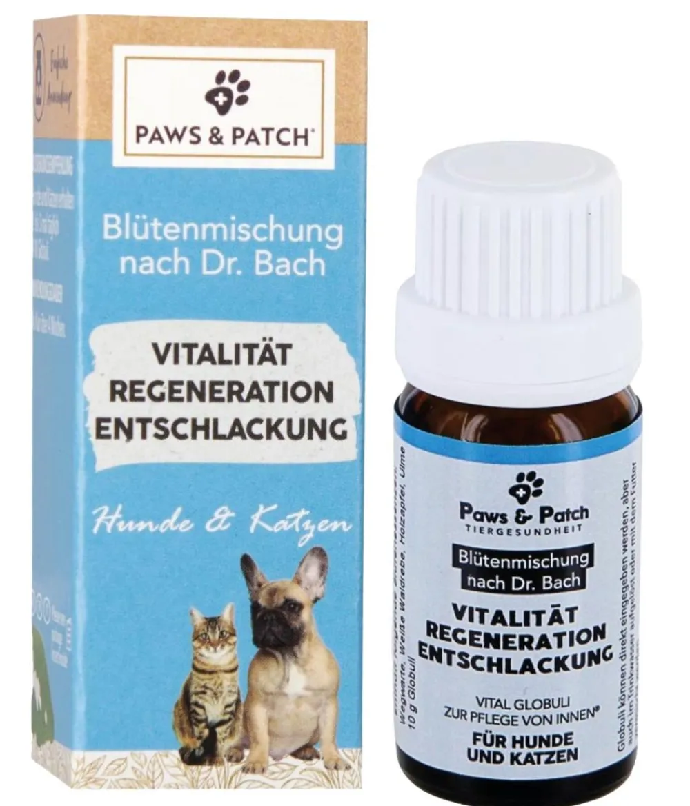 PAWS & PATCH Nahrungsergänzung Hund > Blütenmischung 3er Basis-Box Ängstliche & sensible Tiere, 3 x 10 g
