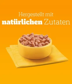Pedigree® Nassfutter für Hunde Adult mit 3 Sorten Geflügel in Pastete, 12x800 g Discount