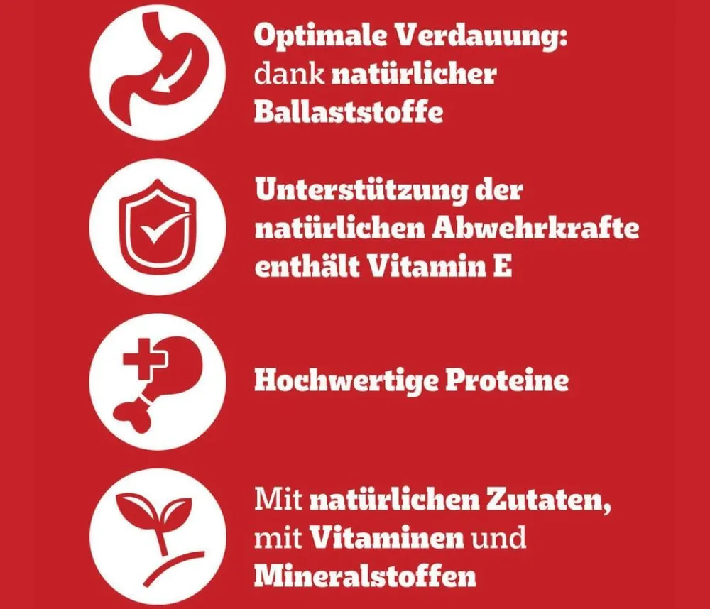 Pedigree® Nassfutter Hund - Nassfutter für Hunde Adult, mit 3 Sorten von Rind, Lamm Huhn in Pastete, 12x800 g