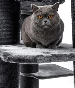 Petrebels Kratzbaum Norwegian 198, pepper, ca. B108/H198/T55 cm Schwarz Sale
