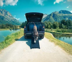 4pets® Mehr Transport & Unterwegs > EasySteps Hunderampe, ca. L69-160 cm