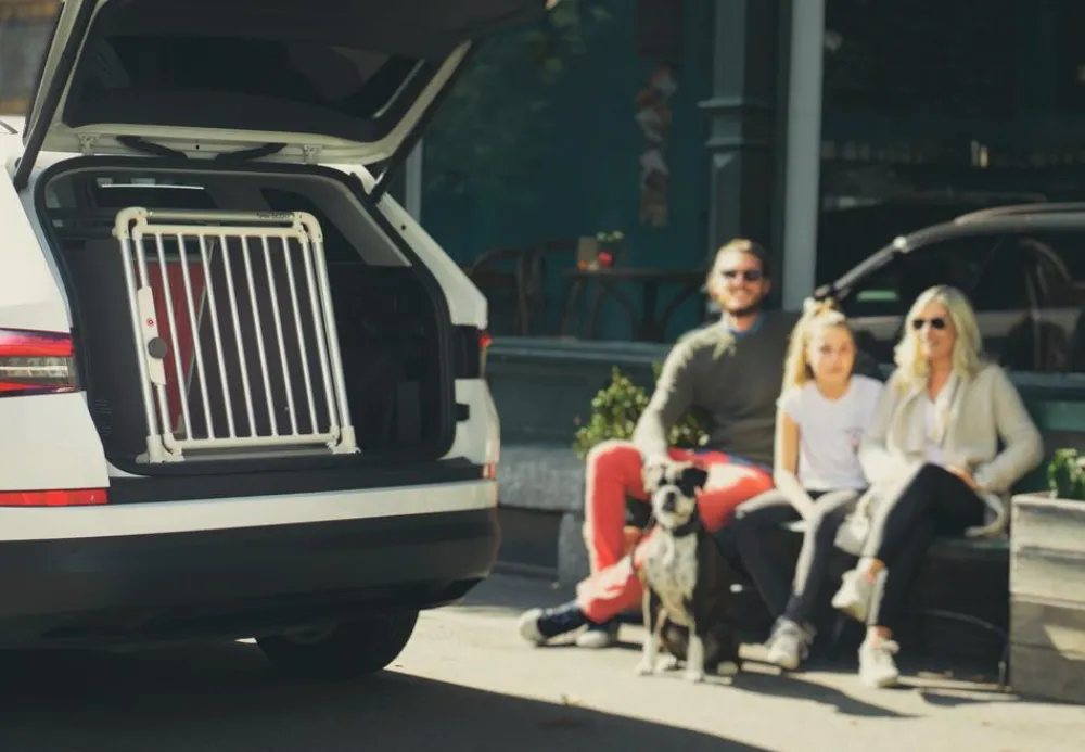 4pets® Hundetransportbox ECO Line 3 Grau Sale