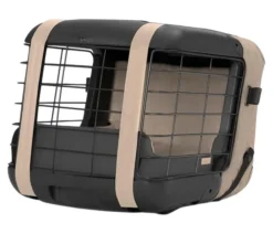 4pets® Hundetransportboxen - Transportbox CAREE, ca. B47,2/H46,5/T57 cm Beige