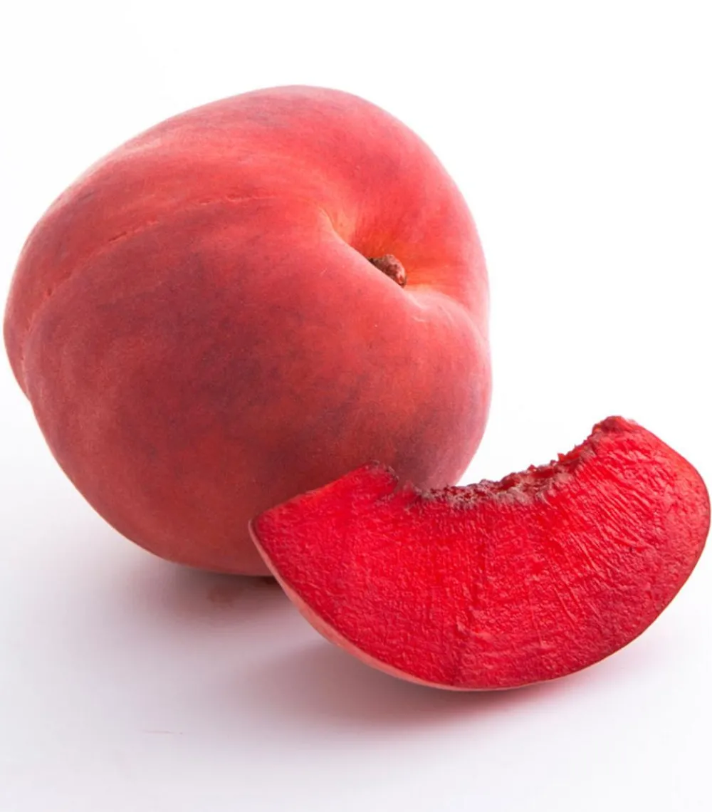 Obstbäume|Aprikosen- & Pfirsichbäume > Pfirsich 'Roter Weinbergpfirsich'
