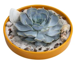 Dehner Pflanzen-Arrangement Ibiza, ca. Ø19/H8 cm Online