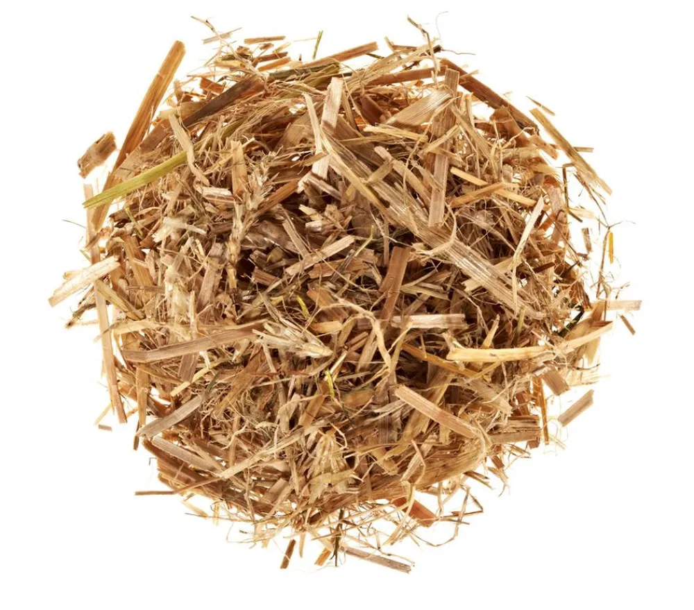 Pilzmännchen Mehr Saatgut > Bio Pilzzuchtset Austernpilz