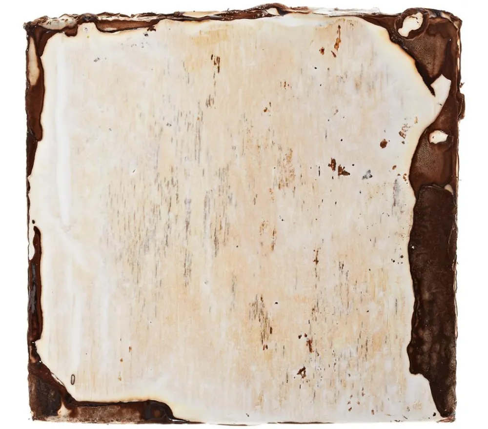 Pilzmännchen Mehr Saatgut > Bio Pilzzuchtset Shiitake-Myzelpatch