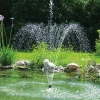 pontec Gartenteich·Teichpumpen & Teichtechnik|Teichpumpen & Teichtechnik - Wasserspielpumpe PondoVario 1500