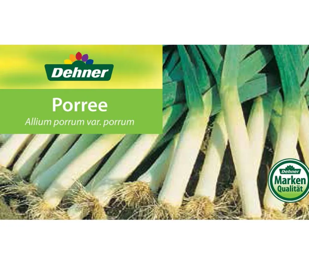 Dehner Gartengemüse - Porree - Lauch, Pflanzschale