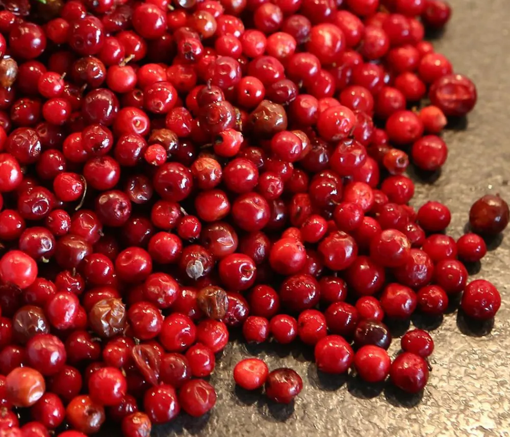Dehner Weinreben & Gartenobst|Beerensträucher - Preiselbeere 'Red Pearl' Rot