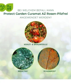 PROTECT GARDEN Pilzmittel - Curamat AZ Rosen-Pilzfrei, flüssig, 15 ml