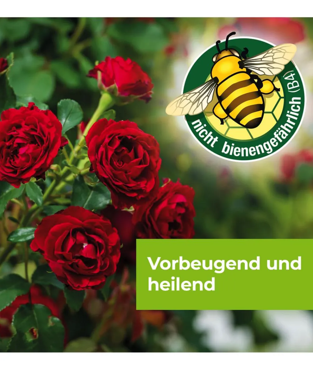PROTECT GARDEN Pilzmittel - Curamat AZ Rosen-Pilzfrei, flüssig, 15 ml