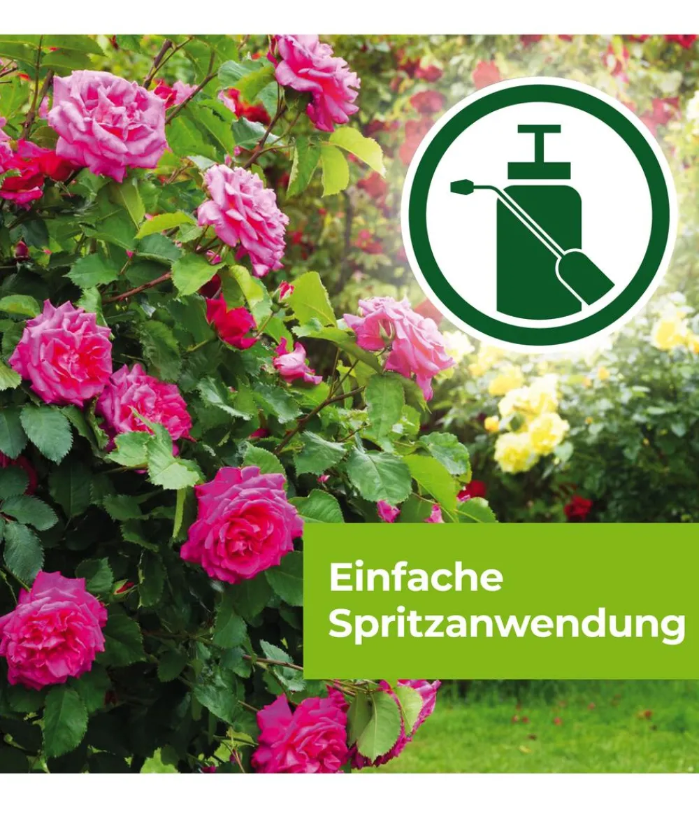 PROTECT GARDEN Pilzmittel - Curamat AZ Rosen-Pilzfrei, flüssig, 2 x 4 ml