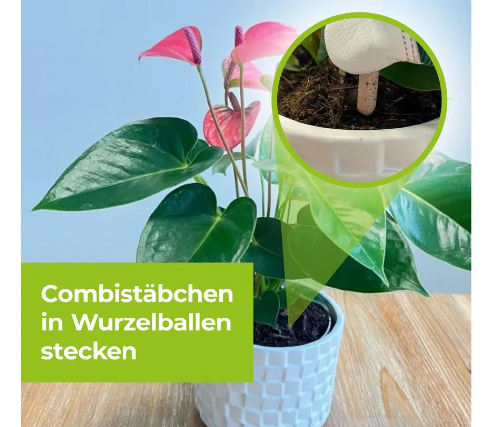 PROTECT GARDEN Schädlingsbekämpfungsmittel > Lizetan Plus Combistäbchen