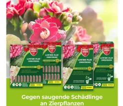 PROTECT GARDEN Schädlingsbekämpfungsmittel > Lizetan Plus Combistäbchen