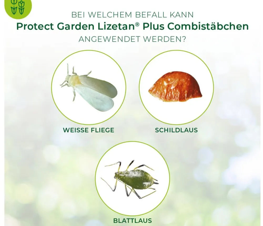 PROTECT GARDEN Schädlingsbekämpfungsmittel - Lizetan Plus Combistäbchen