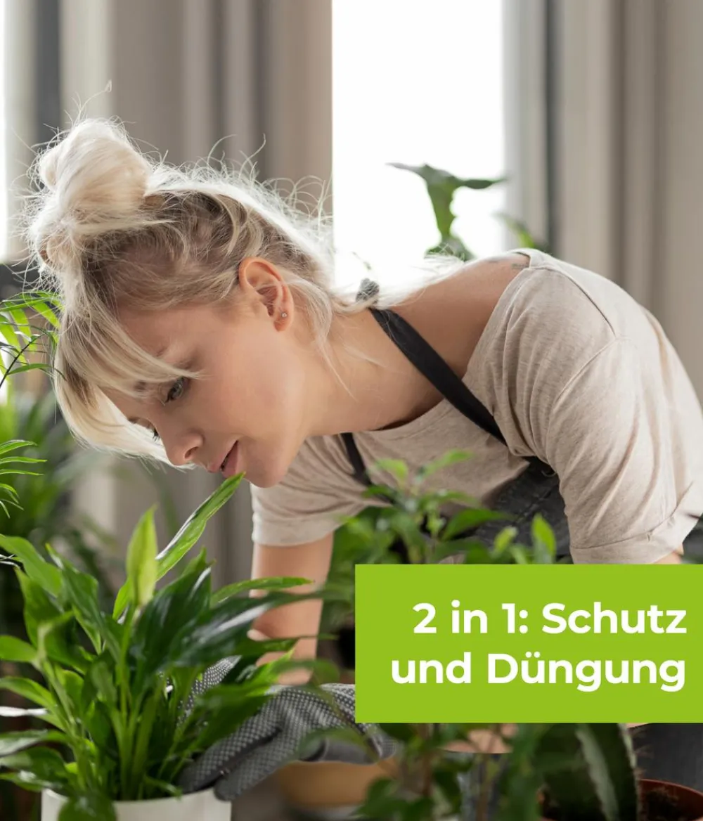 PROTECT GARDEN Schädlingsbekämpfungsmittel - Lizetan Plus Combistäbchen
