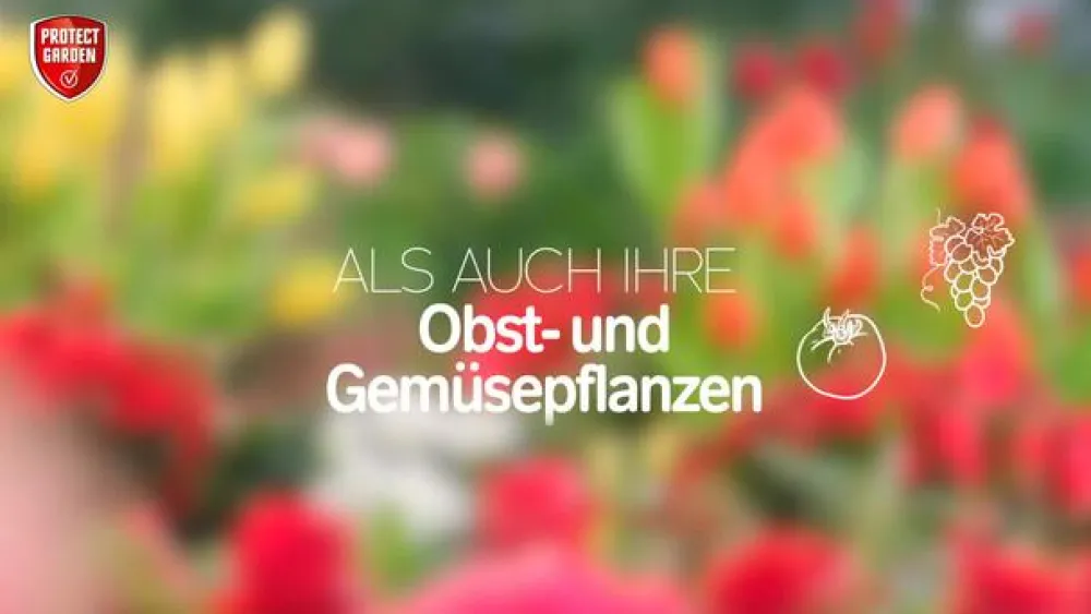PROTECT GARDEN Schädlingsbekämpfungsmittel - Lizetan Plus Schädlingsfrei AF, 500 ml