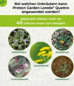 PROTECT GARDEN Unkrautvernichter > Loredo® Quattro Universal-Rasenunkrautfrei