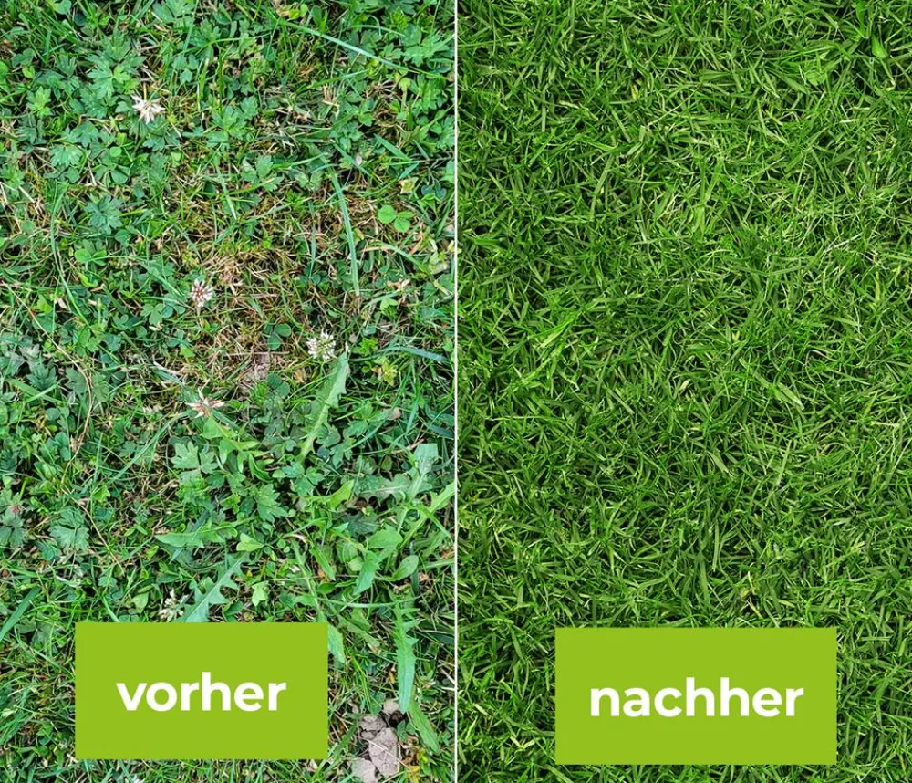 PROTECT GARDEN Unkrautvernichter > Loredo® Quattro Universal-Rasenunkrautfrei