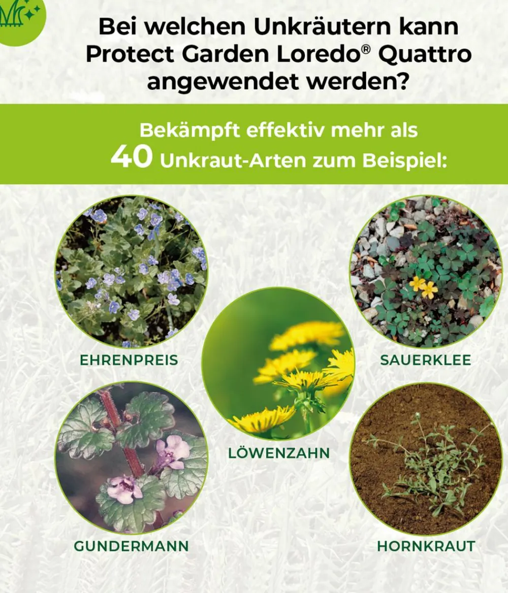 PROTECT GARDEN Loredo® Quattro Universal-Rasenunkrautfrei Outlet