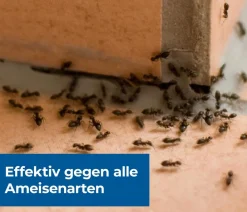 PROTECT HOME Schädlingsbekämpfungsmittel > FormineX Ameisen-Köder Multi, 3 Stk.