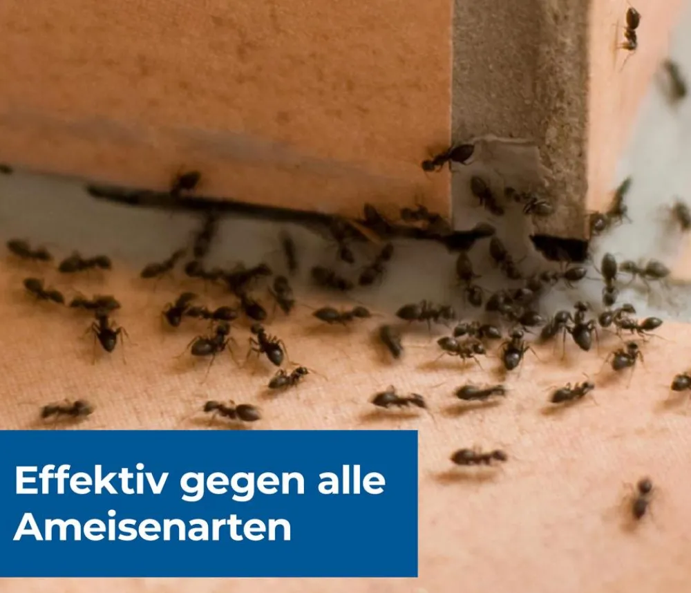 PROTECT HOME Schädlingsbekämpfungsmittel > FormineX Ameisen-Köder Multi, 3 Stk.