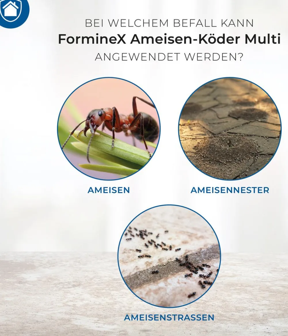 PROTECT HOME Schädlingsbekämpfungsmittel > FormineX Ameisen-Köder Multi, 3 Stk.