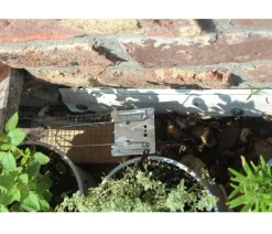 PROTECT HOME Insektenschutz & Fallen - Lebendfalle Maus Drahtkäfig, 1 Stk. Silber
