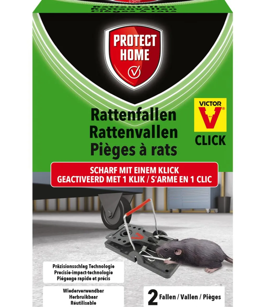 PROTECT HOME Rattenfalle Click, 2 Stk. Dunkelgrau Online