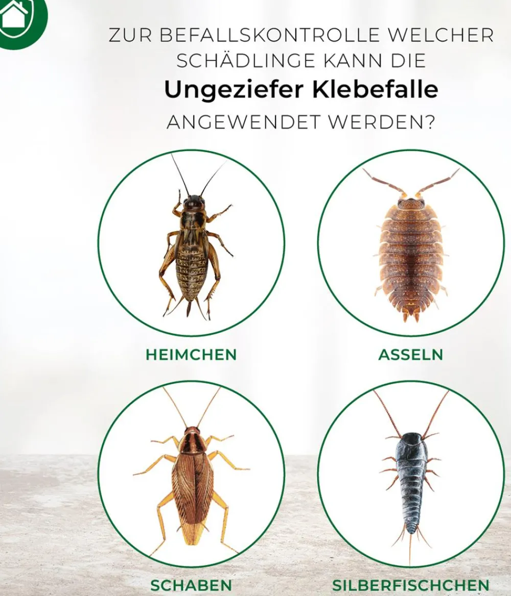 PROTECT HOME Insektenschutz & Fallen > Ungeziefer Klebefalle zur Befallsermittlung, 4 Stk.