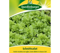 Quedlinburger Gemüsesamen > Quedlinberger Samen Schnittsalat 'Verde ricciolina da taglio'