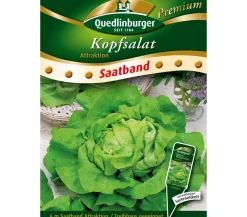 Quedlinburger Gemüsesamen > Saatband Kopfsalat 'Attraktion'