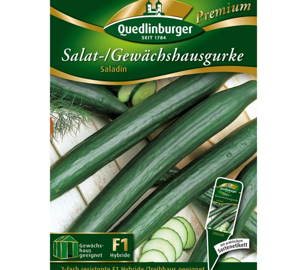 Quedlinburger Salat-/Gewächshausgurke 'Saladin' Online