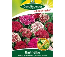Quedlinburger Samen Bartnelke 'Gefüllte Mischung' Bunt Outlet