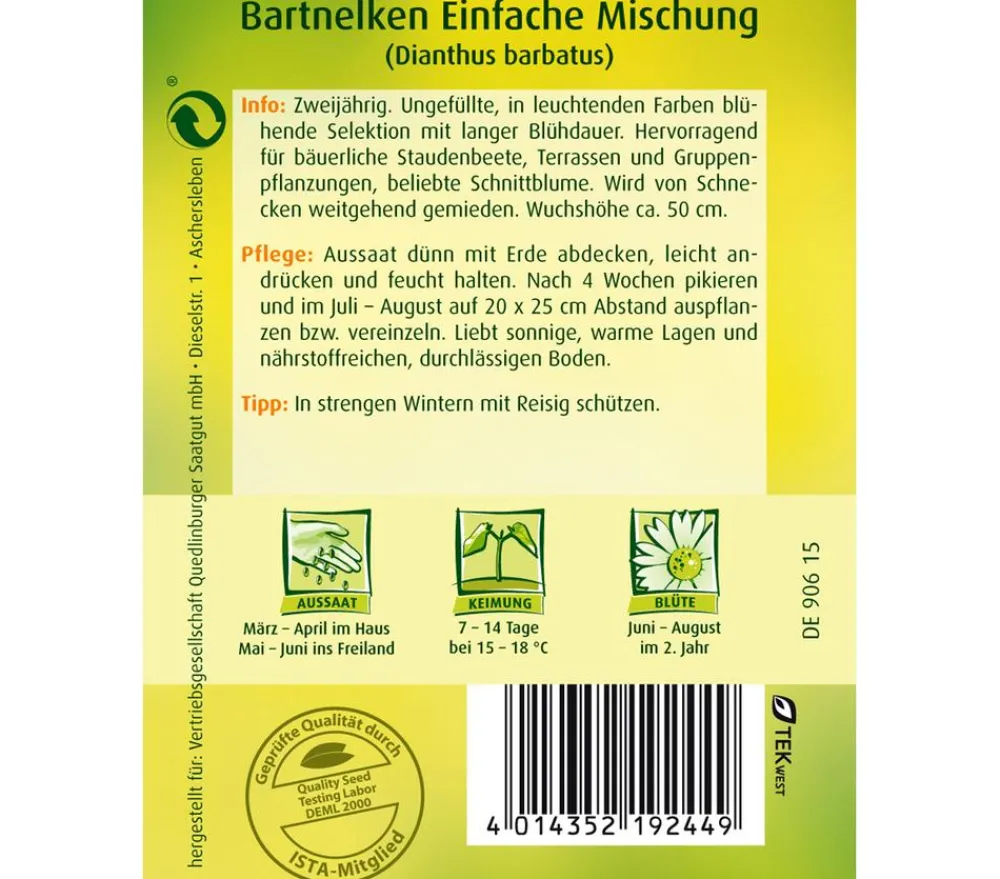 Quedlinburger Blumensamen - Samen Bartnelke 'Einfache Mischung'