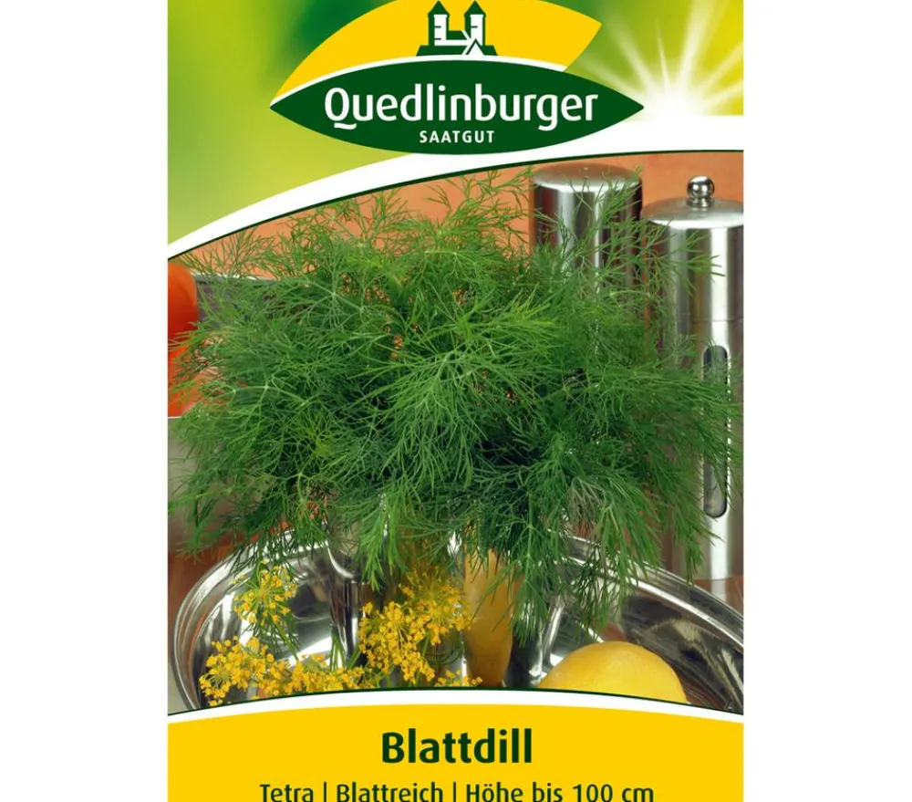 Quedlinburger Kräutersamen > Samen Dill 'Tetra'